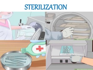 sterilization-process-1-638