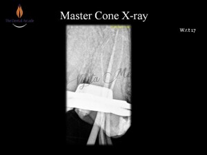 Slide7