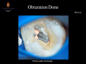 Slide8